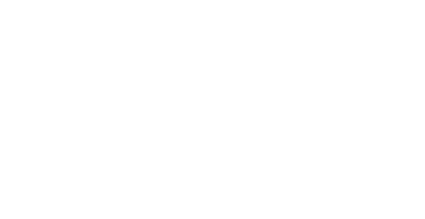 Millionaire Blueprints
